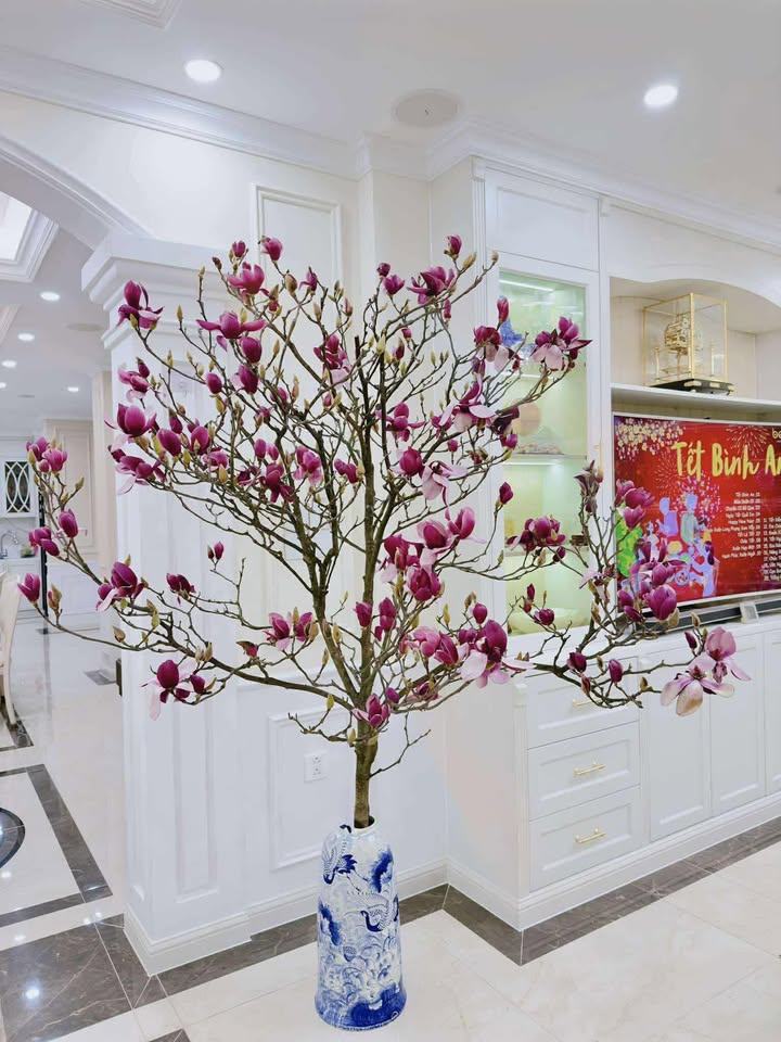 Biệt thự, Nhà vườn Ninh Bình 90-120m² - Sẵn sàng đón chủ mới