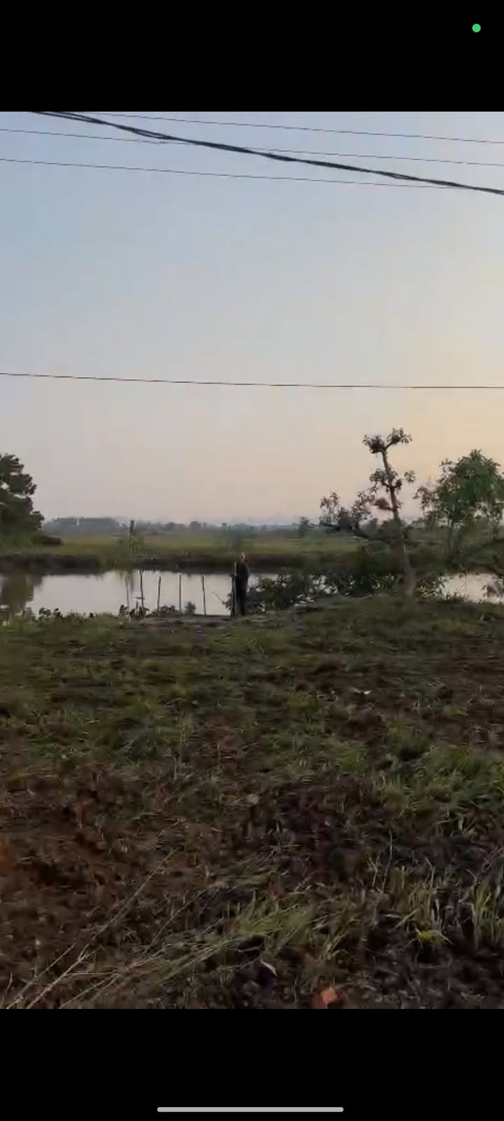 Đất nền Phường Ninh Giang, Hoa Lư 7000m² - Tiềm năng tăng giá vượt trội!