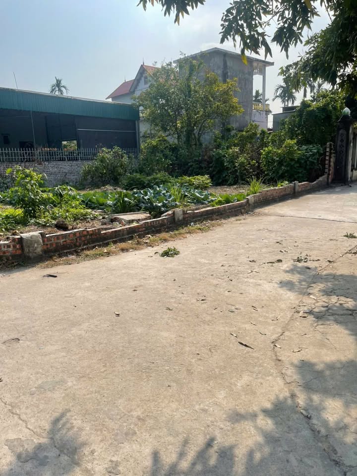 Đất nền Hồng Lạc Thanh Hà 140m² - Sổ đỏ chính chủ, công chứng ngay!