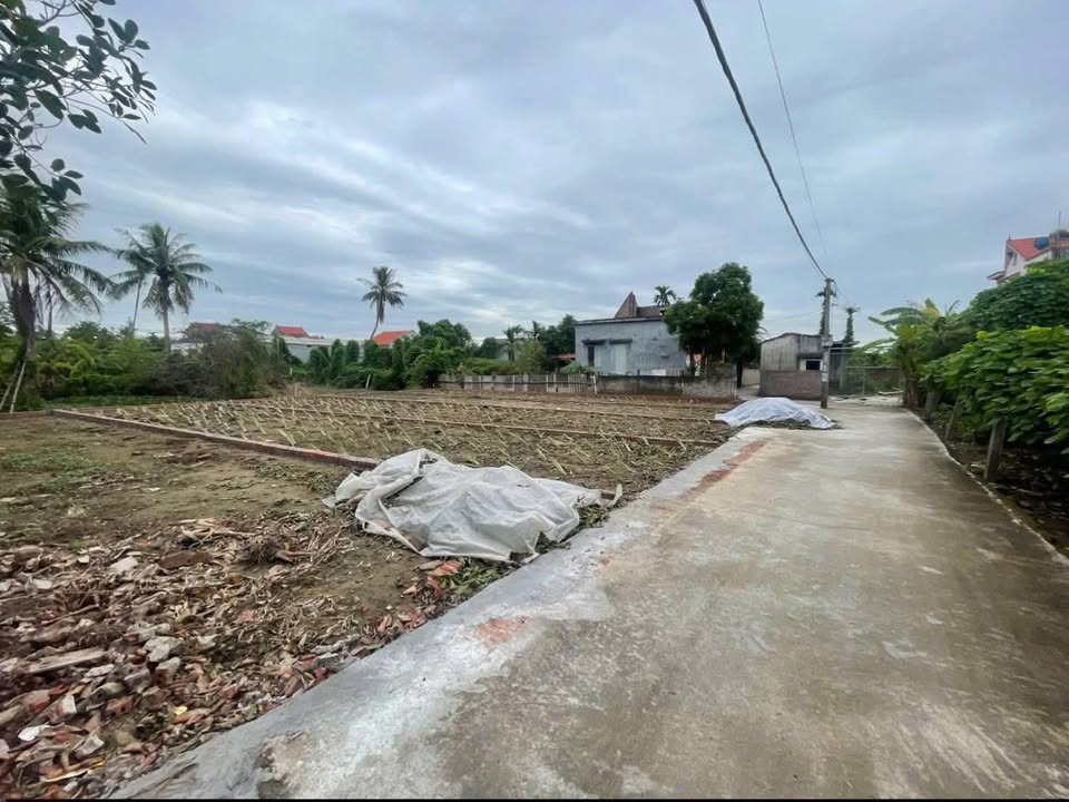 Đất nền Thanh Lang Thanh Hà 100m² - Tiềm năng tăng giá!