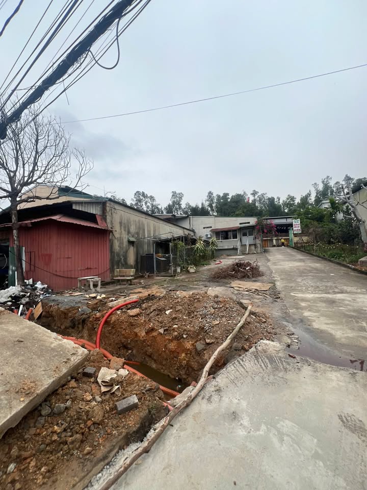 Mặt Đường Hùng Thắng Bãi Cháy - Lô Góc 193m² Kinh Doanh Sầm Uất