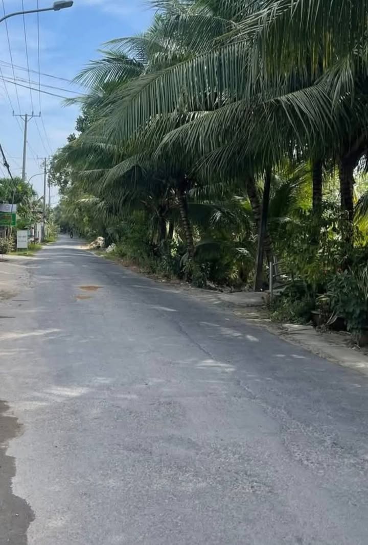 Đất nền 125m² Đường Dây Thép, Cai Lậy - Sổ đỏ chính chủ!