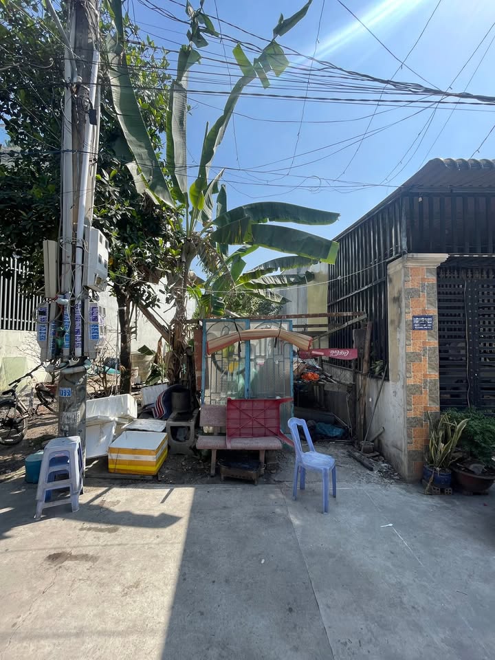 Bán Đất Nền 119m² Phường Phú Hòa, Thủ Dầu Một - Gần KCN Đại Đăng, Sổ Hồng Riêng