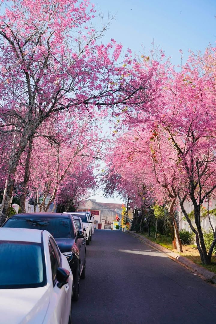 Cho thuê Căn hộ Đà Lạt 2 tầng, 1PN - 13 triệu/tháng