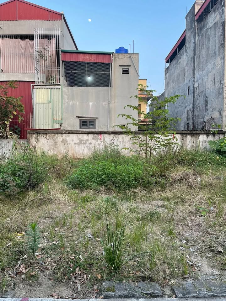 Đất nền 50m² Vũ Thư, Thái Bình - Cách Nguyễn Trãi 40m, Sổ đỏ sẵn sàng