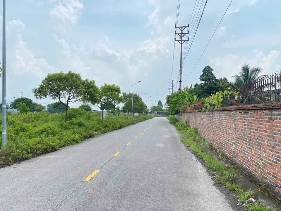 Lô đất Kim Sơn, Đông Triều 195m² - Sổ đỏ chính chủ, sang tên ngay!