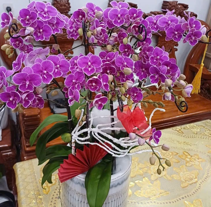 Bán Đất Mặt Tiền Vân Nga, Vũng Tàu - 93m² Thổ Cư, Giá 4.65 Tỷ