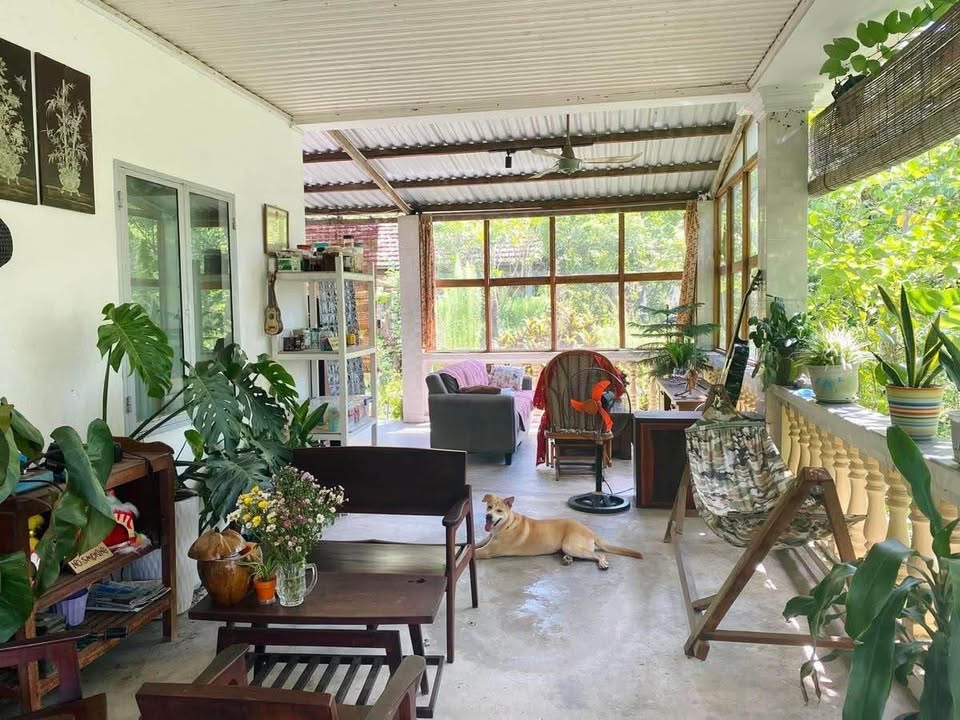 Đất Góc 2 Mặt Tiền Phan Chu Trinh, Vũng Tàu 1.000m² - Vị trí đắc địa!