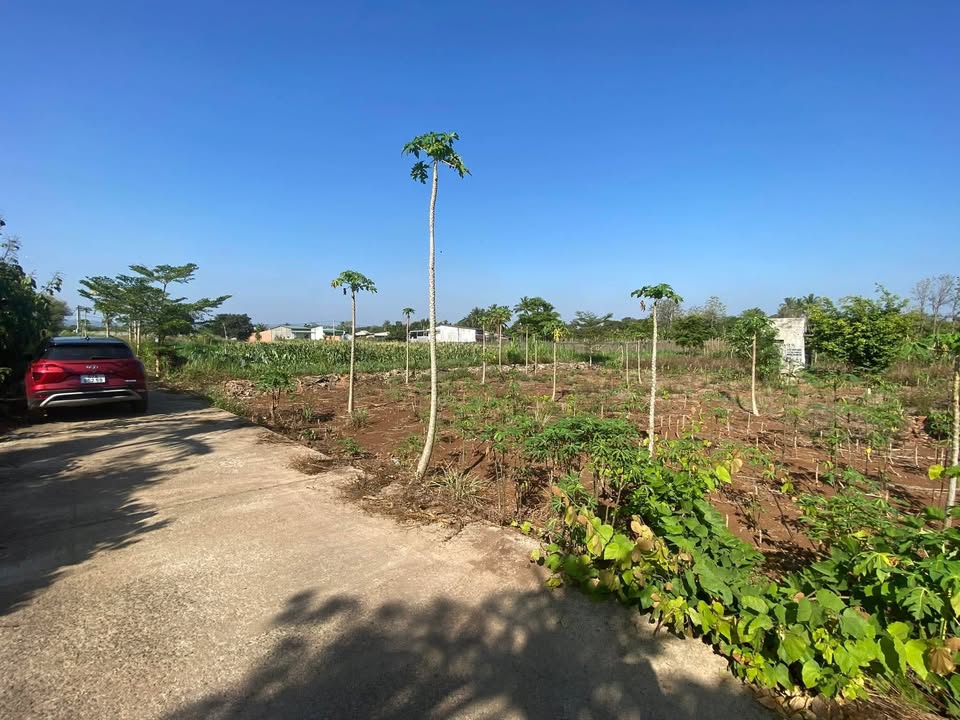 Đất nền 115m² Hẻm QL 14, Buôn Ma Thuột - Giá 650 Triệu