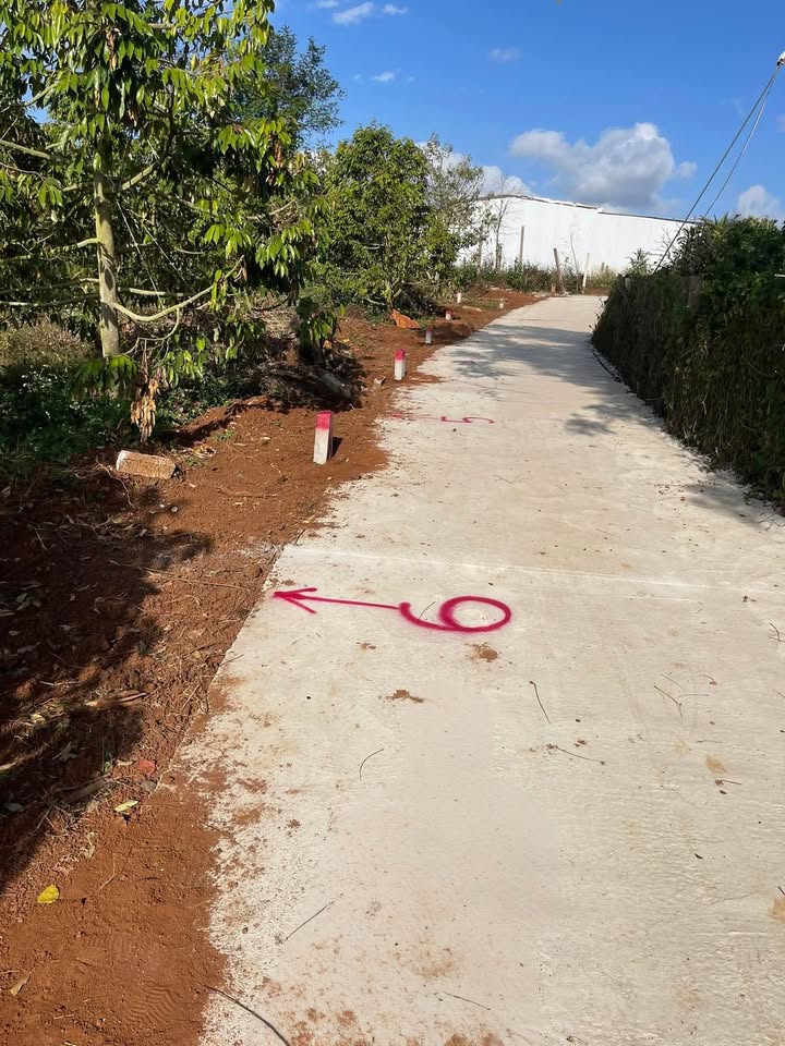 Đất nền Khánh Xuân 150m² giá 1.299 tỷ - Sổ đỏ chính chủ