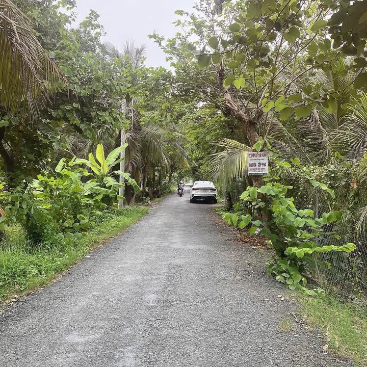 Đất Mặt Tiền Bến Tre 580m² - Gần Khu Phương Nam, Sổ Hồng Sẵn Sàng