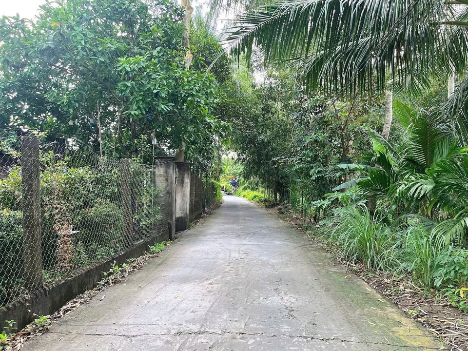 Bán Nền 111.8m² Hậu Giang - Gần UBND, KCN Tân Phú Thạnh, Giá 600 Triệu