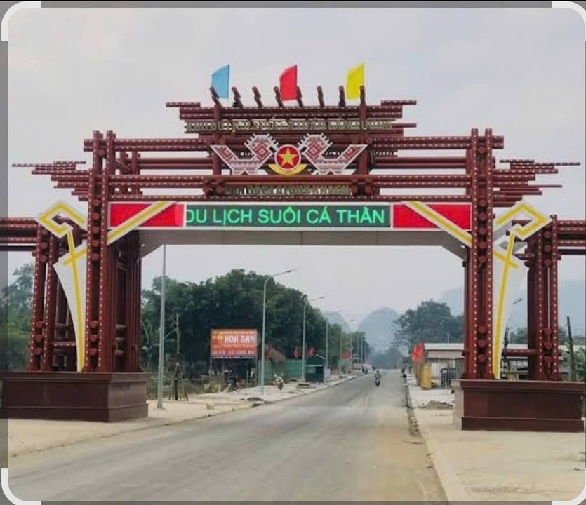 Bán Đất Mặt Đường Liên Xã Cẩm Lương 1350m² - Tiềm Năng Du Lịch Hấp Dẫn