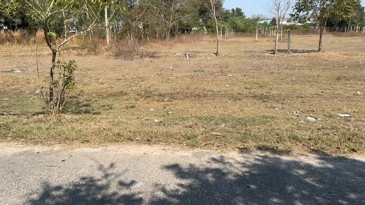 Đất Mặt Tiền Đường Nhựa Gò Dầu, Tây Ninh - 885m² - Giá Tốt