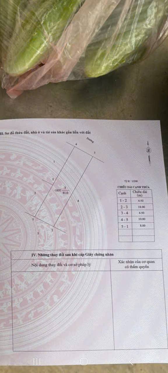Đất nền Đò Quan, Nam Định 81m² - Mặt tiền kinh doanh, đối diện siêu thị!