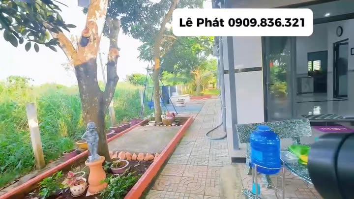 Nhà vườn Xã Long Tân Đất Đỏ 632m² - Nghỉ dưỡng lý tưởng!