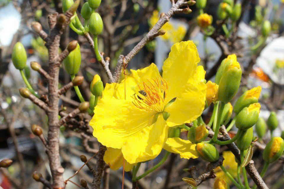 Nhà 2 Tầng 42m² Kiệt 223 Trường Chinh, Đà Nẵng - Giá 4.1 Tỷ