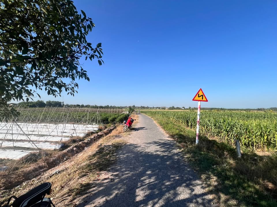 Đất nền Xã Phước Đông, Gò Dầu 145m² - Sổ đỏ chính chủ, tiềm năng tăng giá