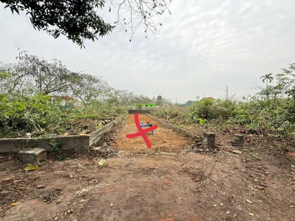 Đất TĐC Hòa Lạc 96m² - Sổ đỏ sẵn sàng, giá hơn 4 tỷ, gần ĐHQG