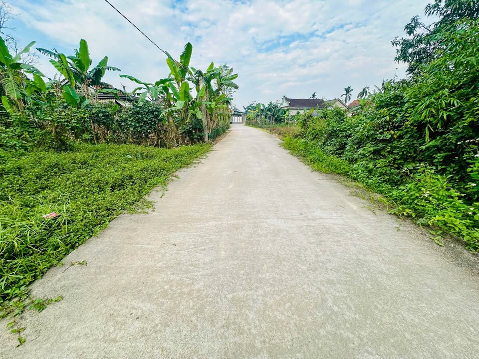 Đất Kiệt Ô Tô Lý Thần Tông - 125m² Giá 830 Triệu - An Cư Lý Tưởng