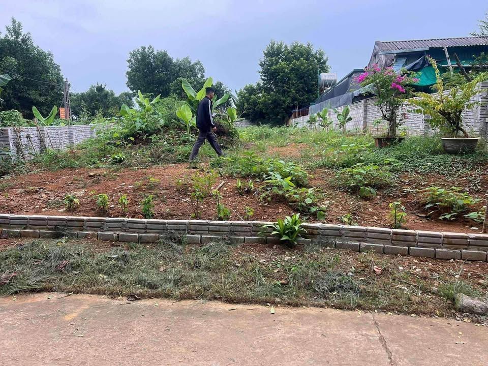 Đất Kim Phú Tuyên Quang 288m² - Sổ đỏ chính chủ, view KĐT Danko