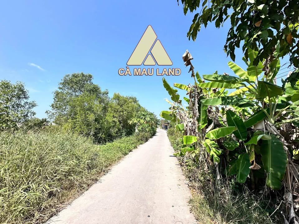 Đất vườn Lý Văn Lâm Cà Mau 996m² - Nghỉ dưỡng lý tưởng!