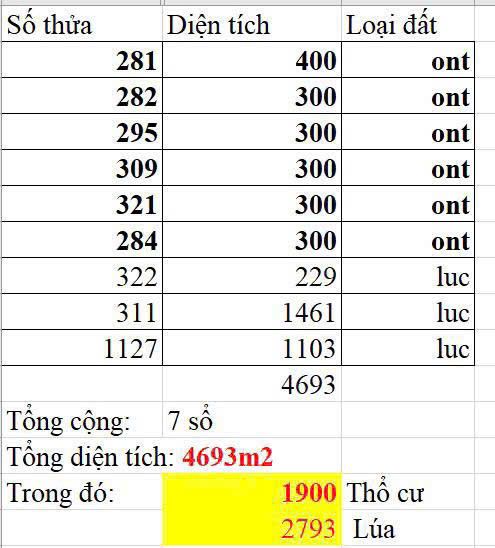 Đất Vườn Long An 4693m² - Sẵn Sàng Xây Xưởng, Mặt Tiền Rộng 40m