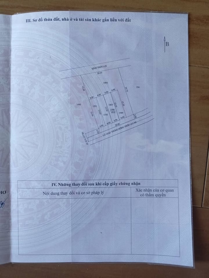 Đất nền 62m² Tân Thới, Phong Điền - Sổ hồng chính chủ, giá tốt!