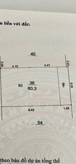 Đất Tam Trinh Hoàng Mai 60.3m² 11.55 tỷ - Tiềm năng tăng giá cực khủng!