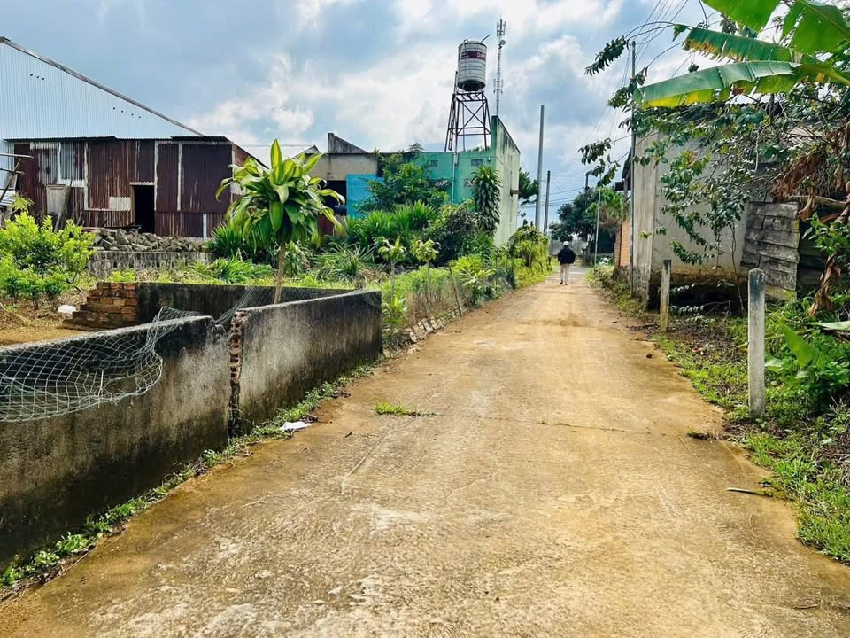 Đất nền 250m² Hẻm 126 Lê Phụng Hiểu Bảo Lộc – Tiềm năng tăng giá!