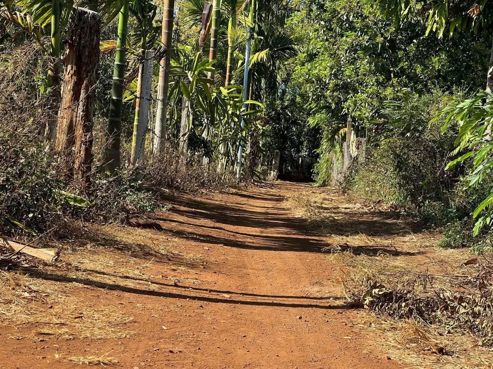 Bán Đất Buôn Ea Mtá, Đắk Lắk - 1440m² Sổ Hồng, Có Ao, Giá 1.25 Tỷ