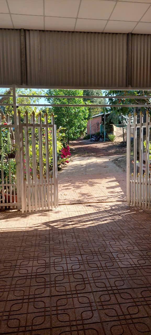 Nhà riêng & Đất Trị An 222m² chỉ 1.1 tỷ - Sẵn sàng ở ngay!