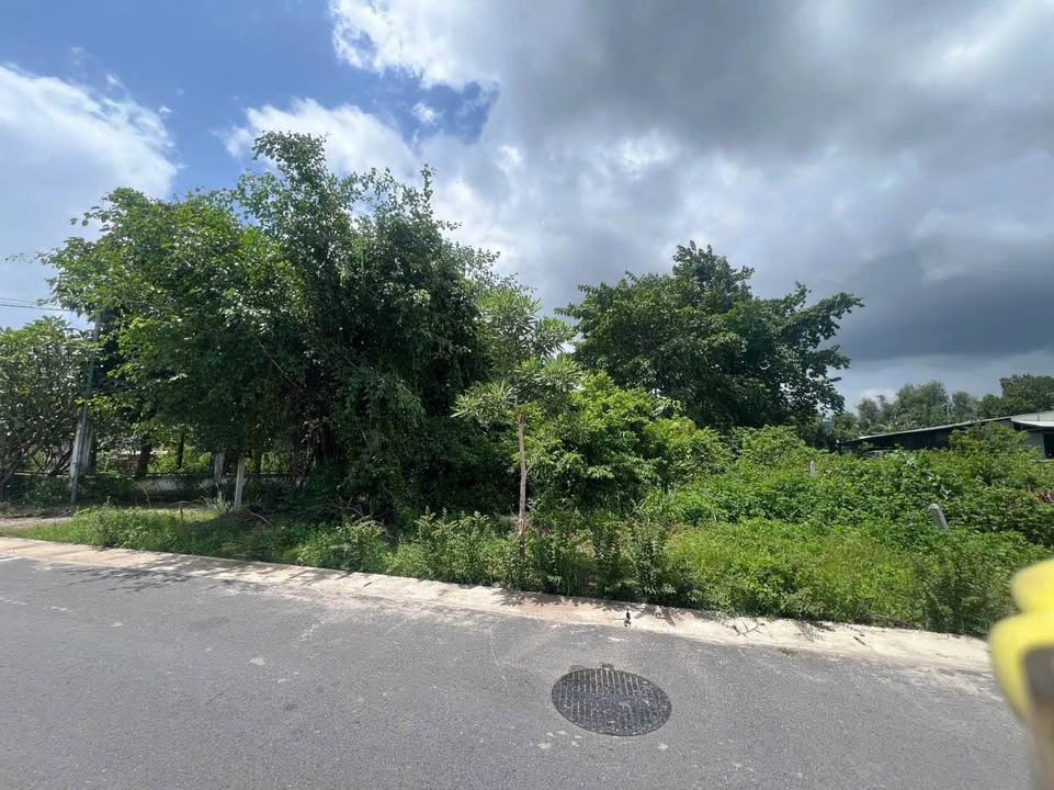 Đất nền Mặt tiền DX Phú Mỹ - TDM 193m² (12m ngang) - Giá 2 tỷ xx