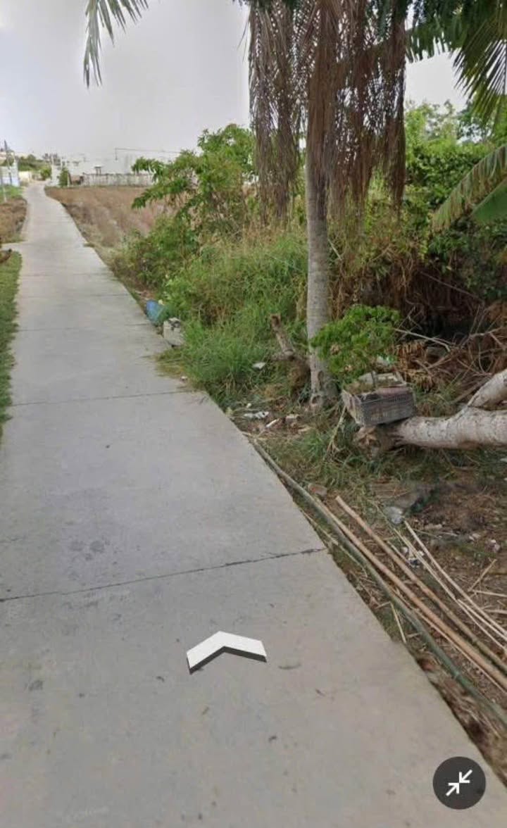 Bán Đất Vườn Long An 3000m² 2 Mặt Tiền Hẻm - Giá 4.5 Tỷ