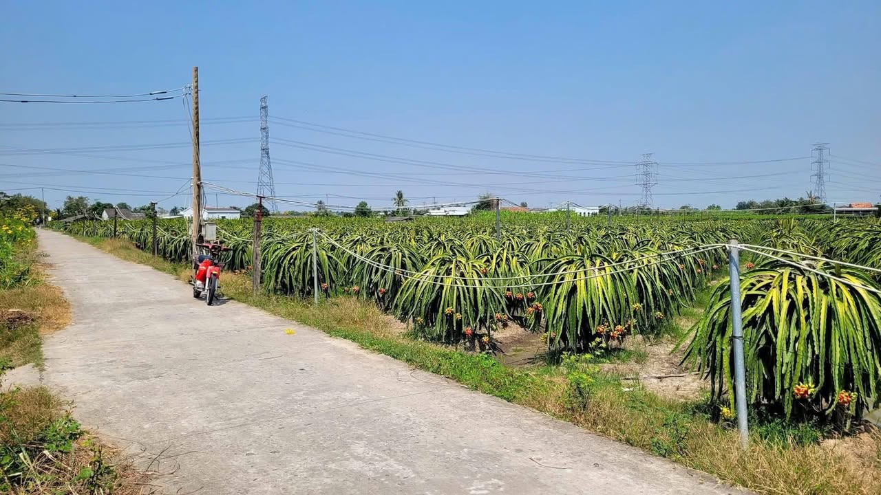 Đất Vĩnh Công Tây Ninh 200m² Sổ Đỏ Chính Chủ - Gần Chợ, Tỉnh Lộ