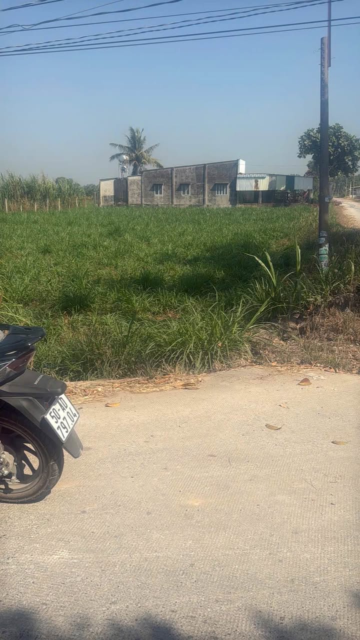 Lô đất Hậu Nghĩa, Đức Hòa 360m² - Đất thổ cư 100%