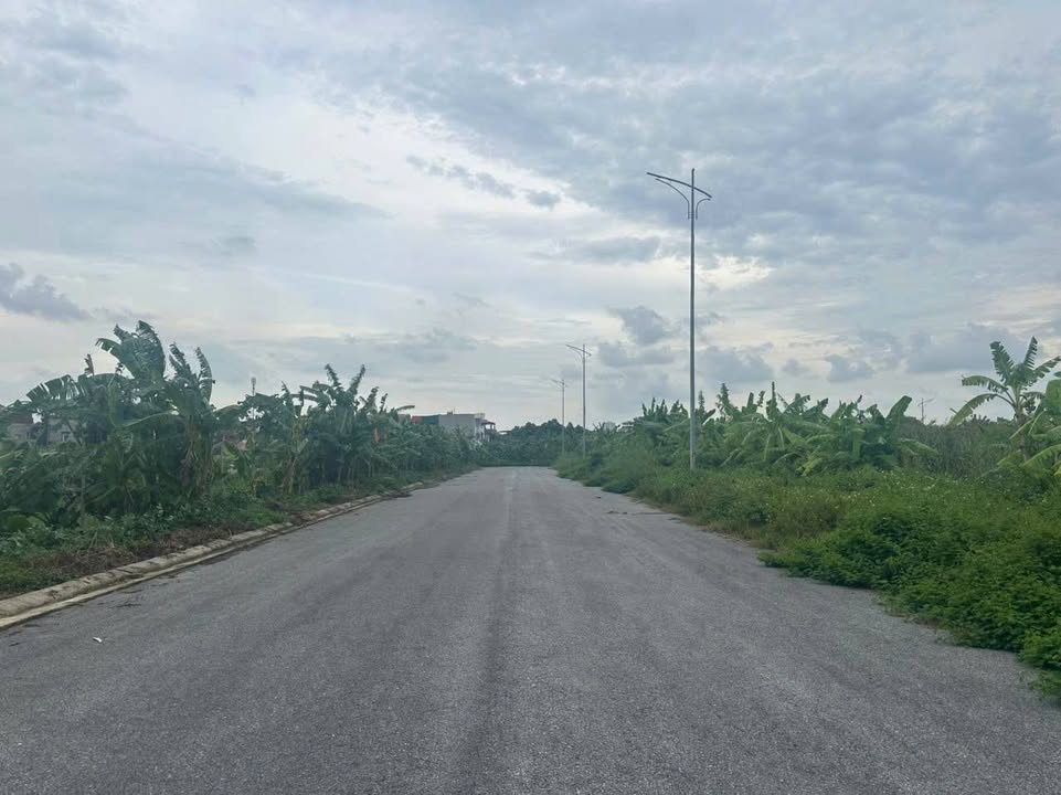 Đất Biệt Thự 4168m² Mặt Tiền 14m - View TTTM Bắc Ninh, Giá 7 Tỷ