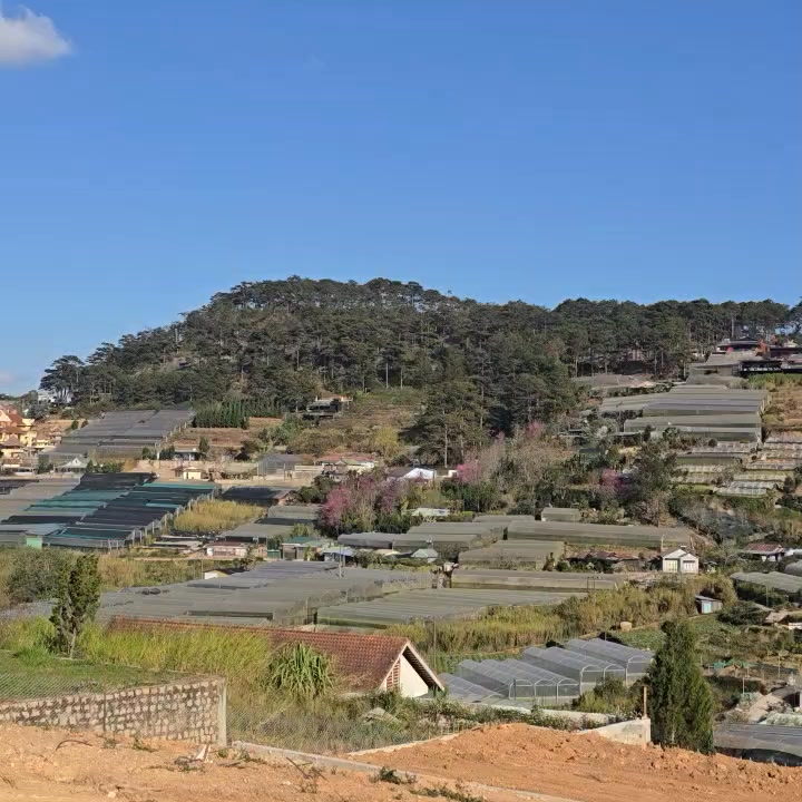 Đất Đà Lạt 219m² Trịnh Hoài Đức - View đẹp, ô tô vào tận nơi!