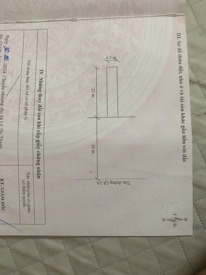 Mặt tiền QL1A Hậu Lộc 99.5m² - Nhỉnh 3 tỷ, Kinh doanh/Đầu tư sinh lời