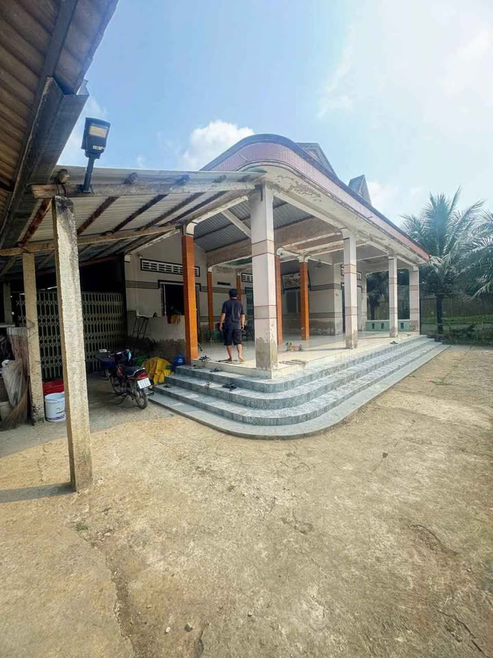 Đất Kèm Nhà Lương Hòa, Giồng Trôm 1500m² - Tiềm năng tăng giá!