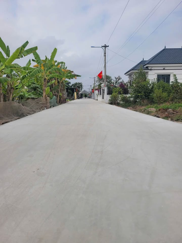 Bán Đất Nền 96m² Tân Thành, Dương Kinh - Vị Trí Vàng, Giá Tốt