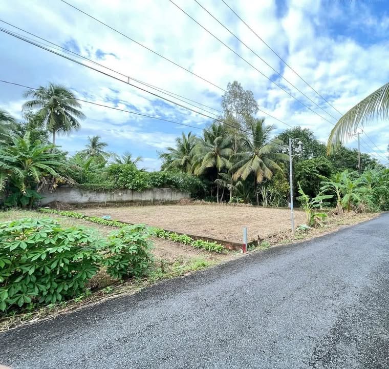 Đất Thổ Cư Cần Thơ 106m² Đường Nguyễn Viết Xuân - Giá 1 Tỷ