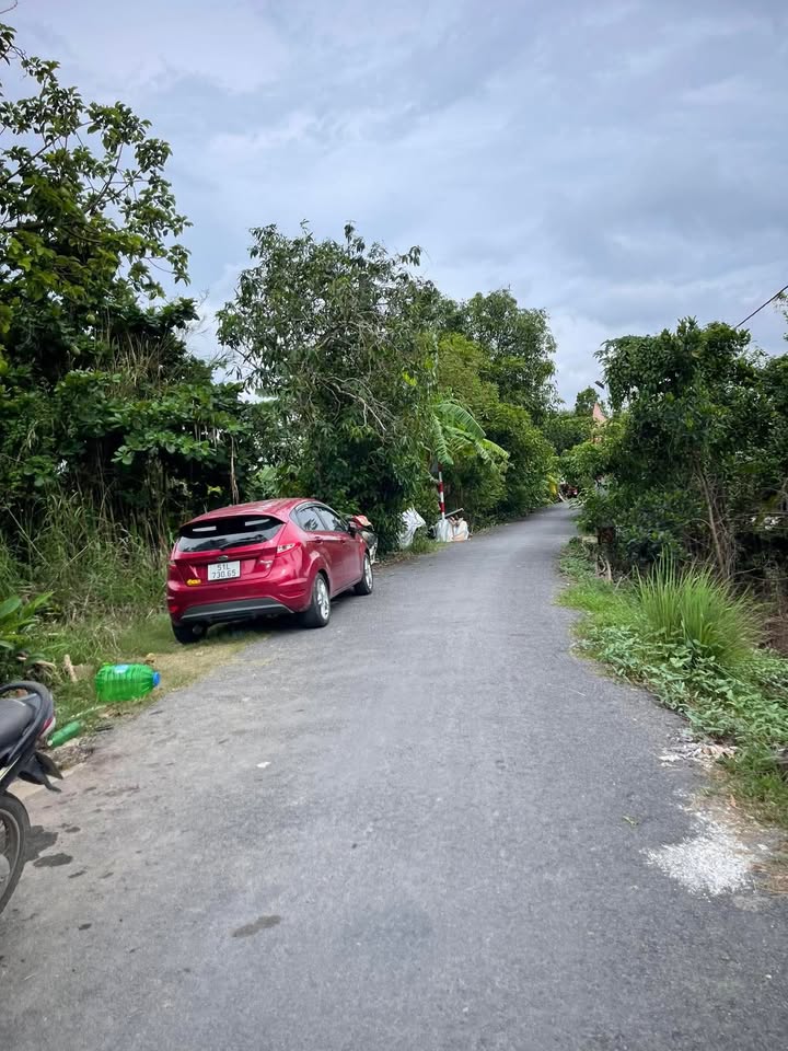 Đất nền Thiện Trung, Cái Bè 548m² - Sổ hồng chính chủ, ô tô tận nơi!