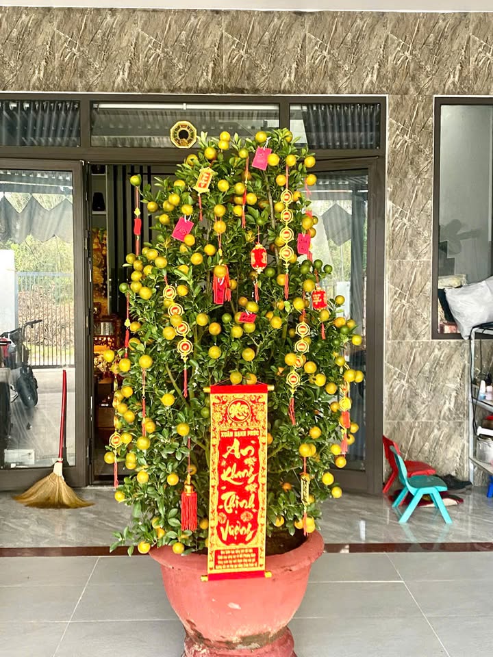 Đất nền Kiệt Lưu Quang Vũ, Đà Nẵng - Từ 150m² - Tiềm năng tăng giá!