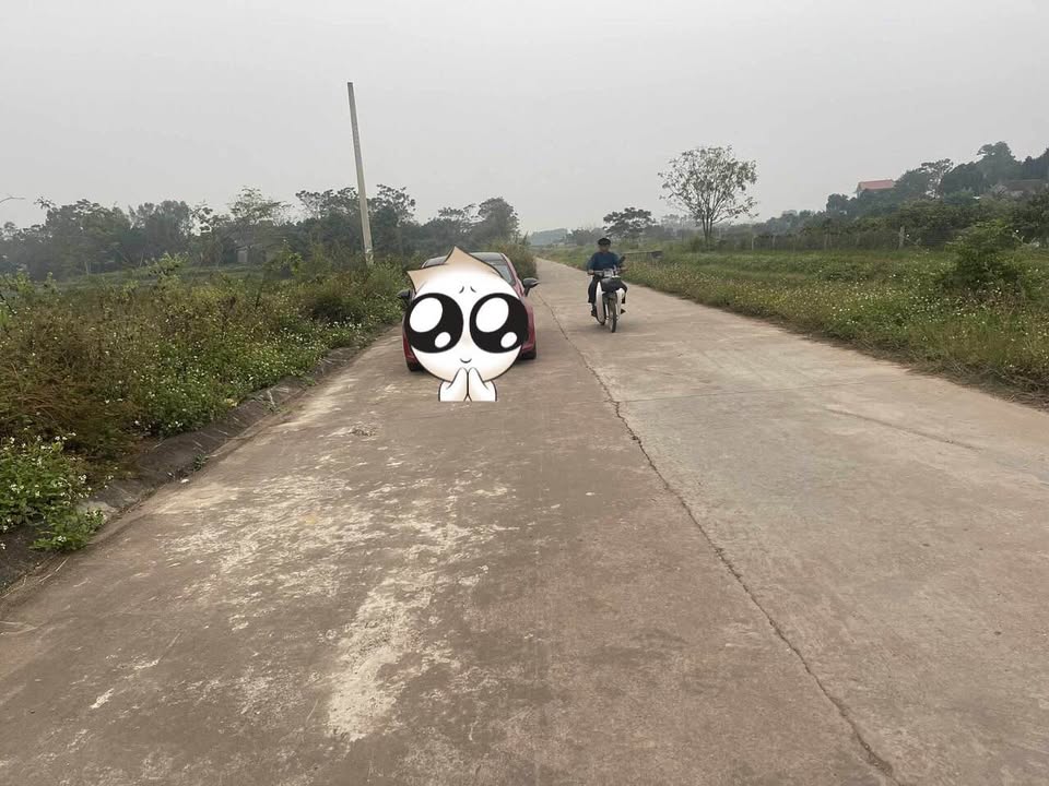 Đất đấu giá Tân Yên, Bắc Giang 126m² - Sổ đỏ sẵn sàng, giá chỉ 1.1 tỷ