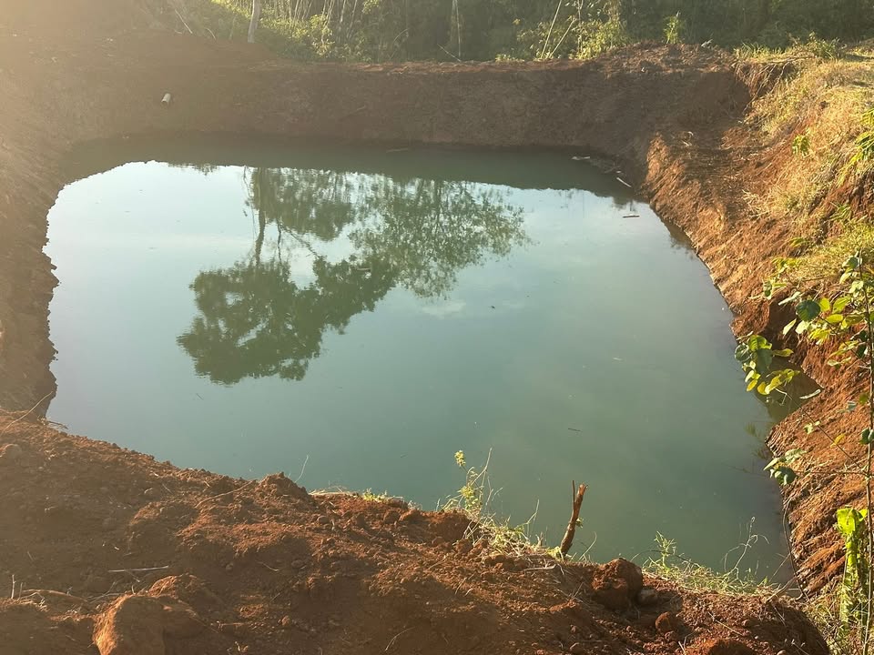 Đất Nền 3ha Mặt Tiền Đường Nhựa Liên Xã, Tuy Đức, Đắk Nông - Giá Đầu Tư 1.8 Tỷ