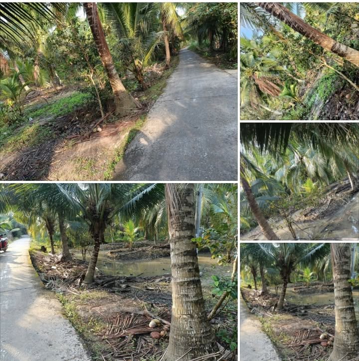 Đất nền Ấp 7 Châu Bình 1000m² - Sổ đỏ chính chủ, 2 mặt tiền!