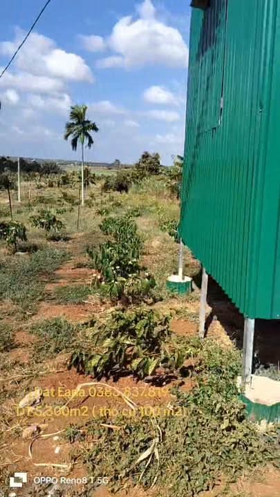 Đất Krông A Na 1908m² giá 1.7 tỷ - Sổ đỏ chính chủ, đường bê tông!