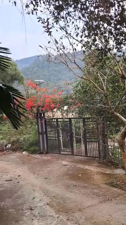 Trang Trại Nghỉ Dưỡng Cốc San 4280m² - Thiên Đường Xanh Lào Cai