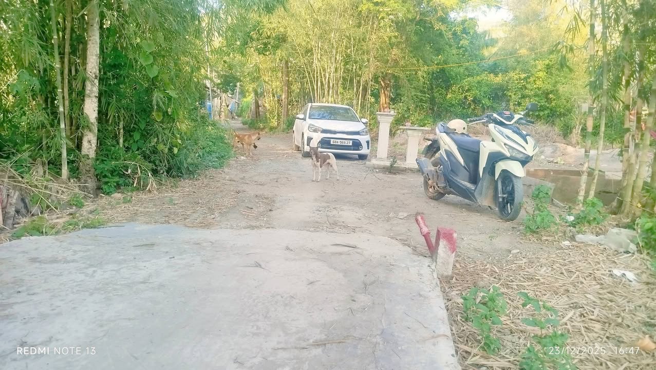 Đất nền Tri Tôn 77m² - Sổ đỏ chính chủ, đường ô tô vào tận nơi!